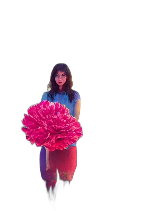 flower, dress, crown, umbrella transparent PNG cut-out