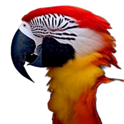 animal, mask, hat, crown, photorealistic, 3d render, concept art, watercolor transparent PNG cut-out