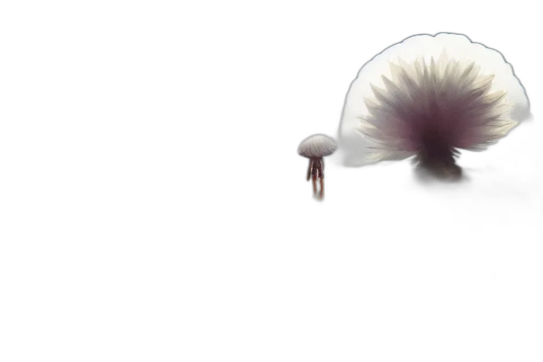 hair, creature, flower, hat, 3d render, concept art, photorealistic, pixel art transparent PNG cut-out
