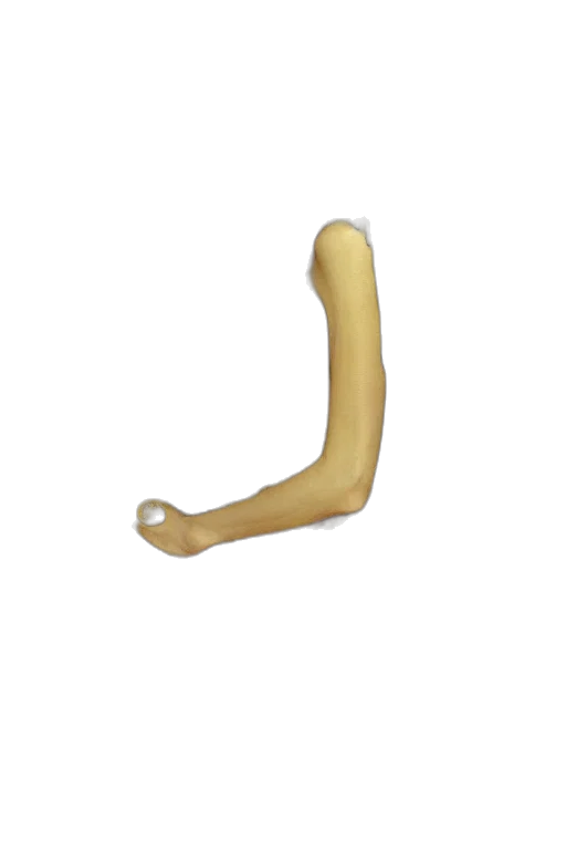 food, weapon, staff, crown transparent PNG cut-out