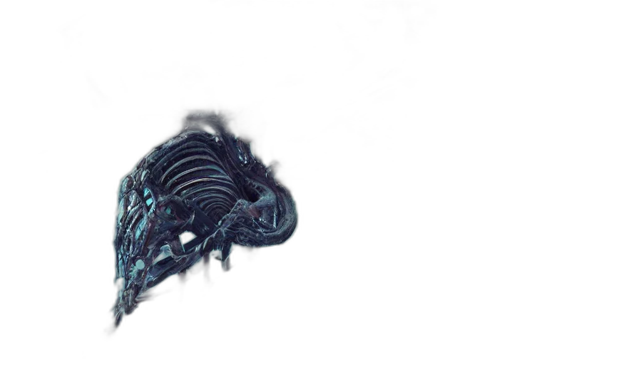 creature, dragon, hair, animal, 3d render, concept art, photorealistic, pixel art transparent PNG cut-out