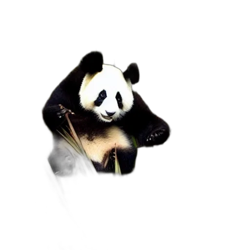 animal, mask, creature, jewelry transparent PNG cut-out