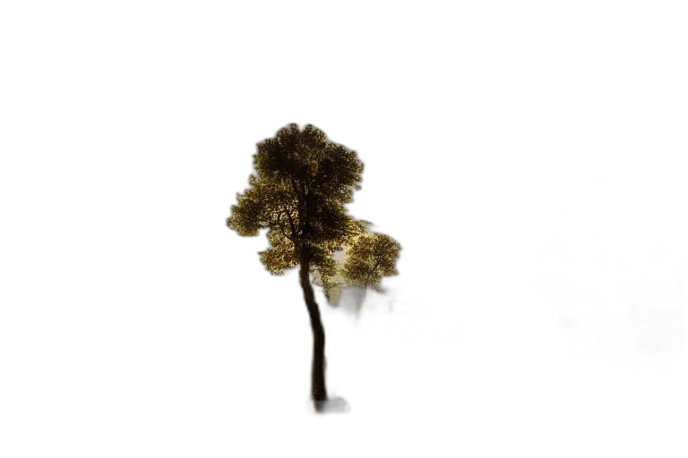 tree, crown, hair, staff, 3d render, photorealistic, concept art, pixel art transparent PNG cut-out