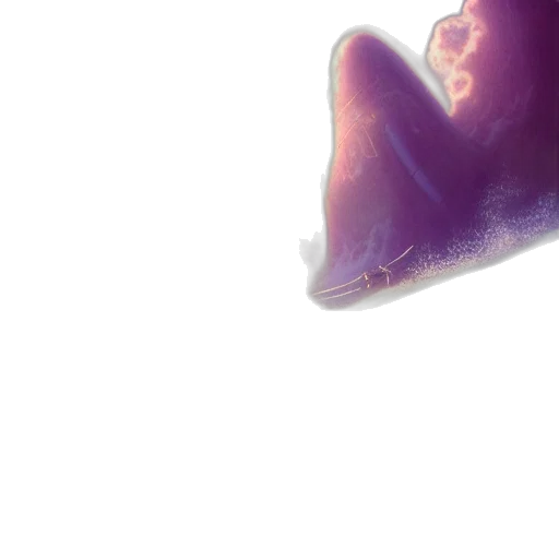 face, shoes, crown, jewelry transparent PNG cut-out