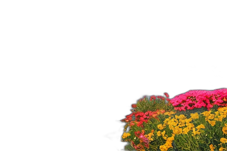flower, crown, hat, dress transparent PNG cut-out
