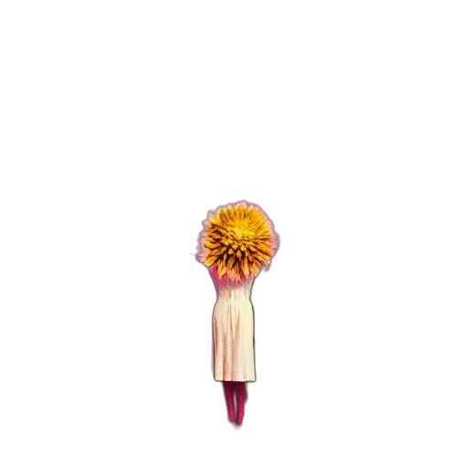 flower, umbrella, staff, hair transparent PNG cut-out