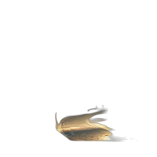 shoes, weapon, jewelry, hair, 3d render, concept art, photorealistic, pixel art transparent PNG cut-out