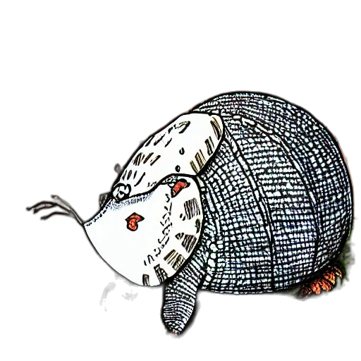 hat, animal, umbrella, creature transparent PNG cut-out