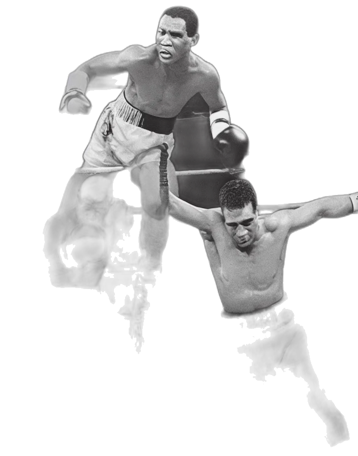 concept art, photorealistic, legendary, boxer transparent PNG cut-out