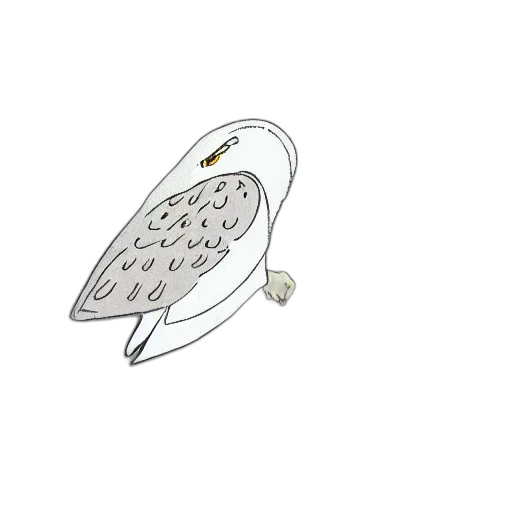 jewelry, umbrella, jacket, crown transparent PNG cut-out