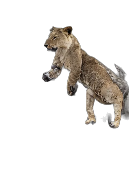 animal, creature, staff, 3d render transparent PNG cut-out
