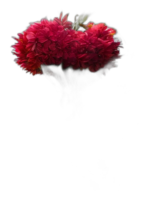 flower, crown, hair, mask, concept art, photorealistic, 3d render, pixel art transparent PNG cut-out
