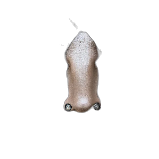 animal, staff, hat, mask, 3d render, photorealistic, concept art, close transparent PNG cut-out