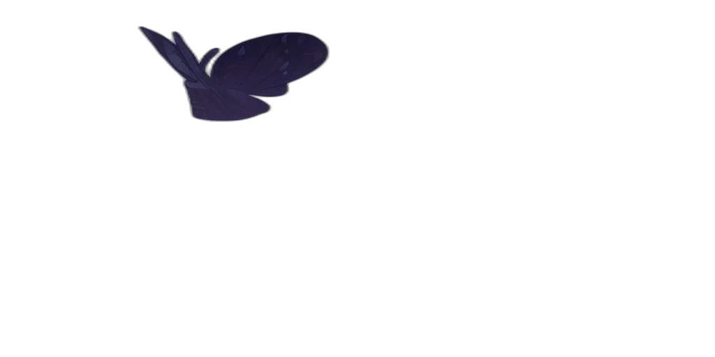 hat, crown, dragon, umbrella transparent PNG cut-out