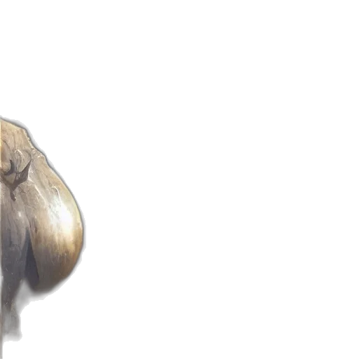 animal, hair, mask, creature transparent PNG cut-out