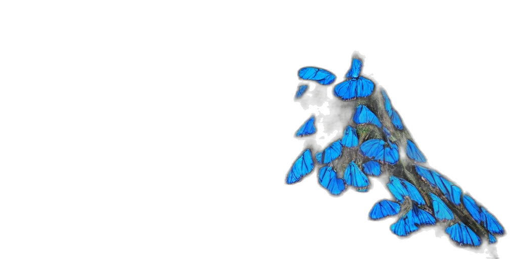 flower, crown, umbrella, creature, pixel art, concept art, 3d render, fantasy art transparent PNG cut-out