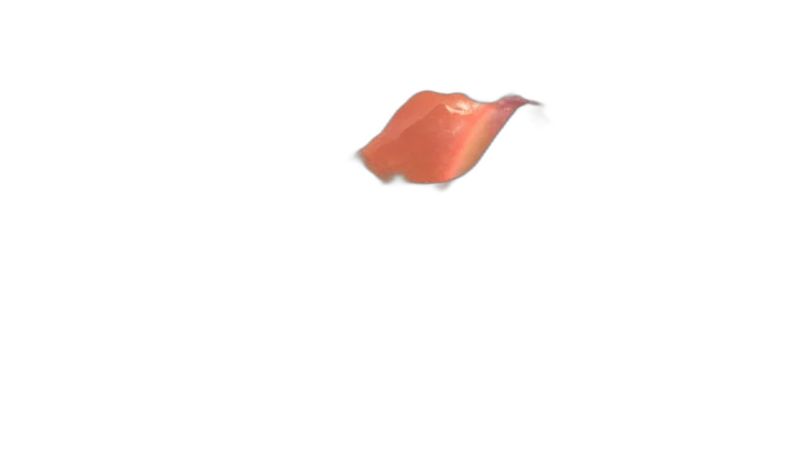 animal, hat, food, weapon transparent PNG cut-out