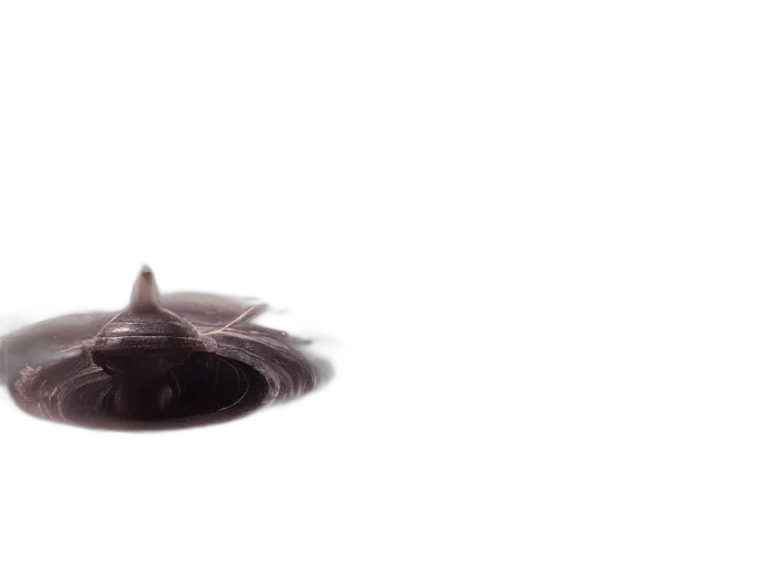 creature, hat, hair, animal, 3d render, concept art, photorealistic, fantasy art transparent PNG cut-out