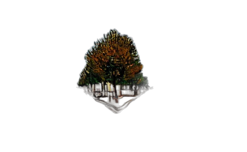tree, crown, staff, hat transparent PNG cut-out