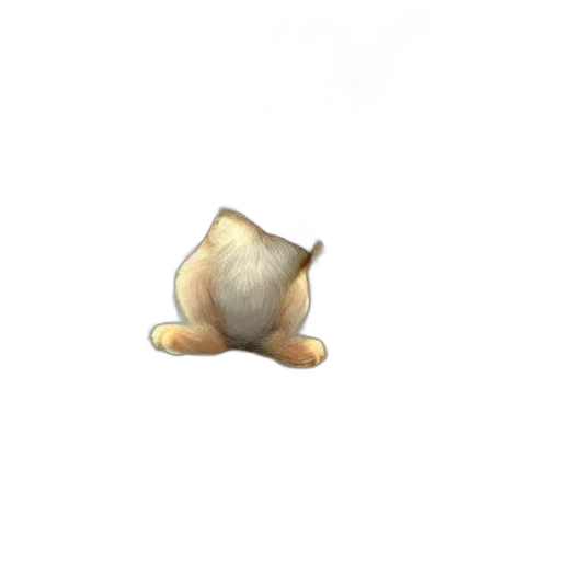 food, hat, animal, weapon, 3d render, concept art, pixel art, photorealistic transparent PNG cut-out