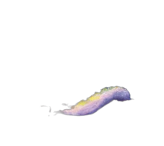 creature, dragon, hair, animal, watercolor, vaporwave, concept art, photorealistic transparent PNG cut-out