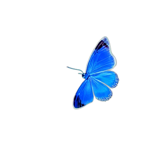 animal, flower, jewelry, creature transparent PNG cut-out