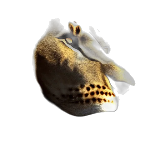 mask, crown, face, dragon transparent PNG cut-out