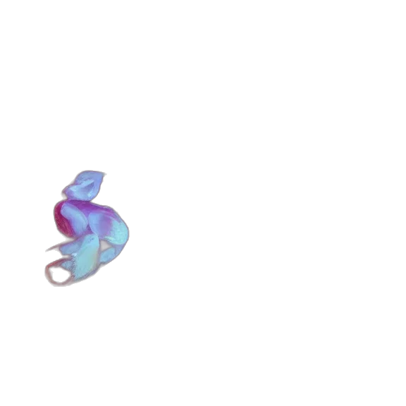 dragon, creature, hat, flower transparent PNG cut-out