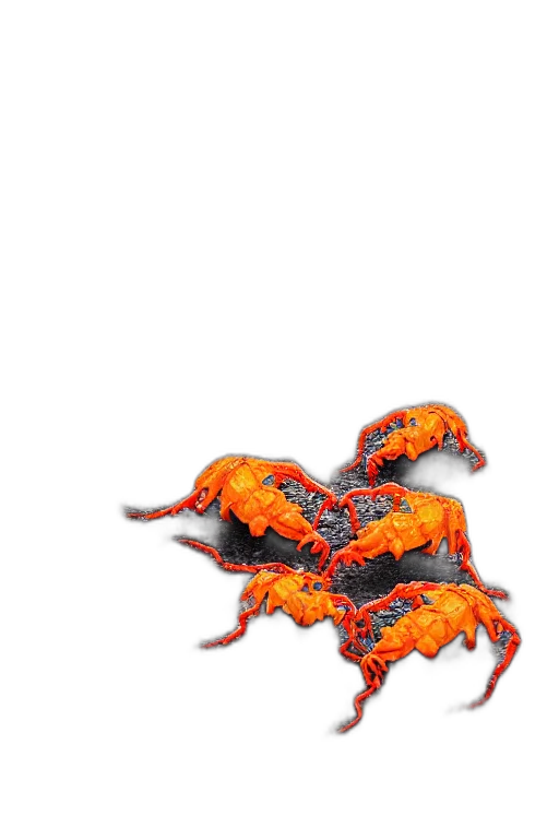 dragon, animal, creature, crown transparent PNG cut-out