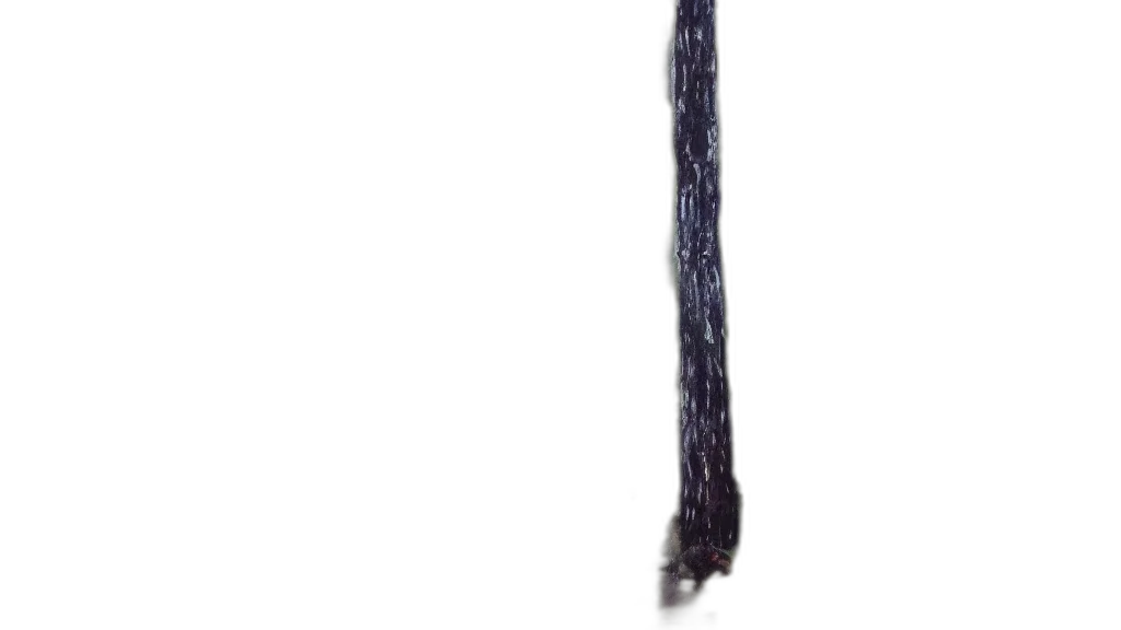 staff, hair, sword, weapon, 3d render, photorealistic, dark, forest transparent PNG cut-out