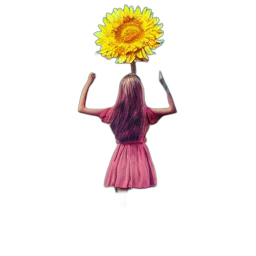 flower, crown, dress, umbrella transparent PNG cut-out