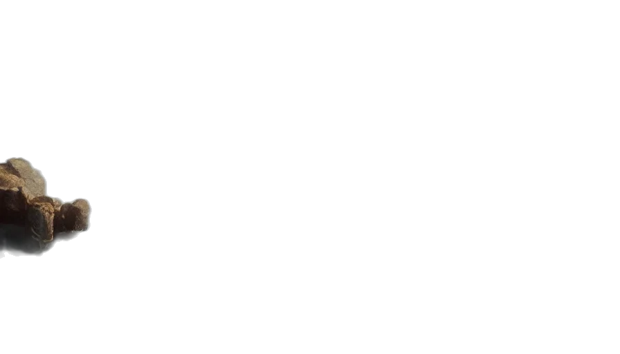 staff, face, monochrome, pastel transparent PNG cut-out