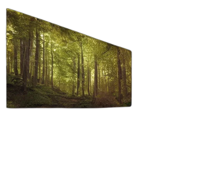 tree, umbrella, sword, hat, photorealistic, concept art, 3d render, fantasy art transparent PNG cut-out