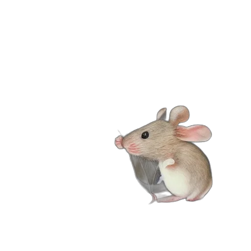 animal, hat, creature, food, 3d render, concept art, photorealistic, watercolor transparent PNG cut-out