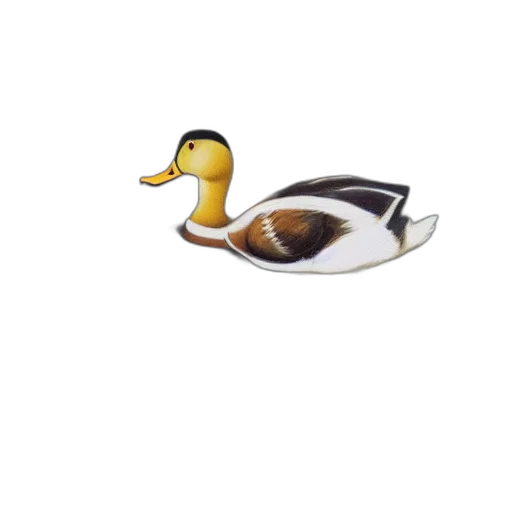 animal, shoes, jewelry, hat transparent PNG cut-out