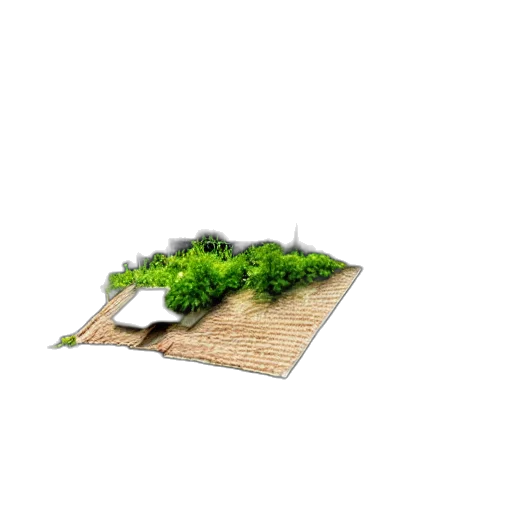 food, furniture, tree, building transparent PNG cut-out