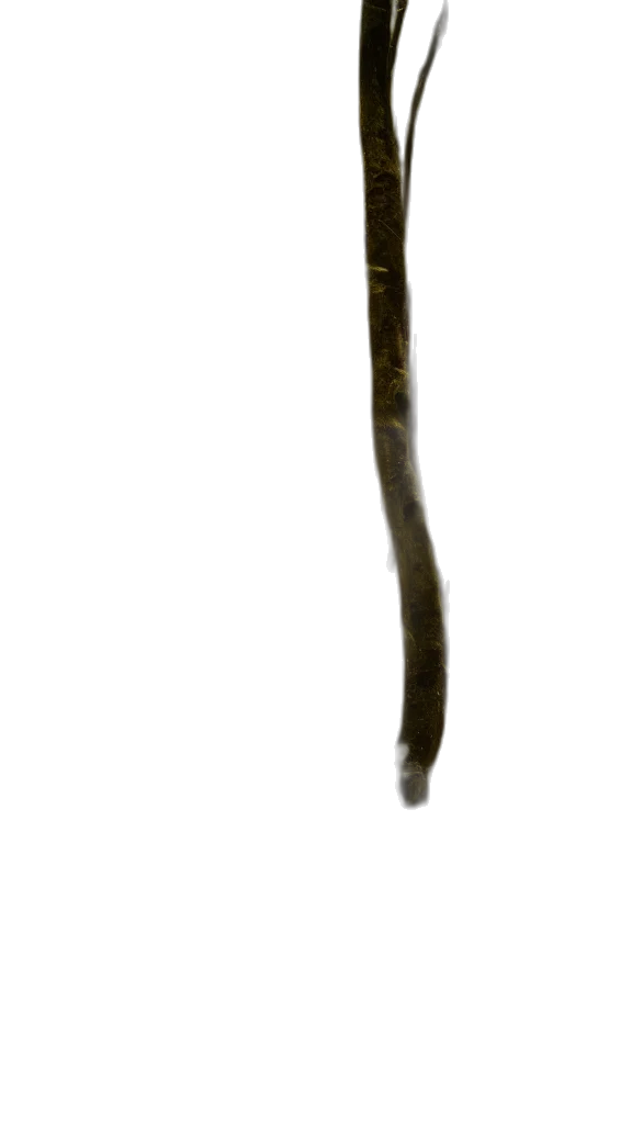 staff, sword, weapon, hair transparent PNG cut-out