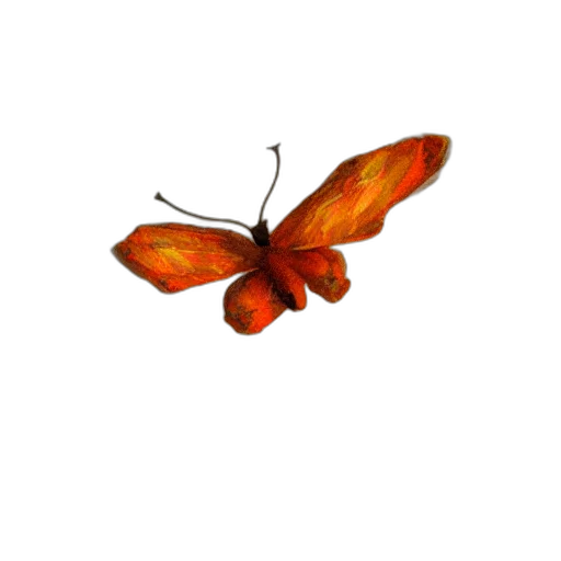 animal, flower, creature, umbrella transparent PNG cut-out