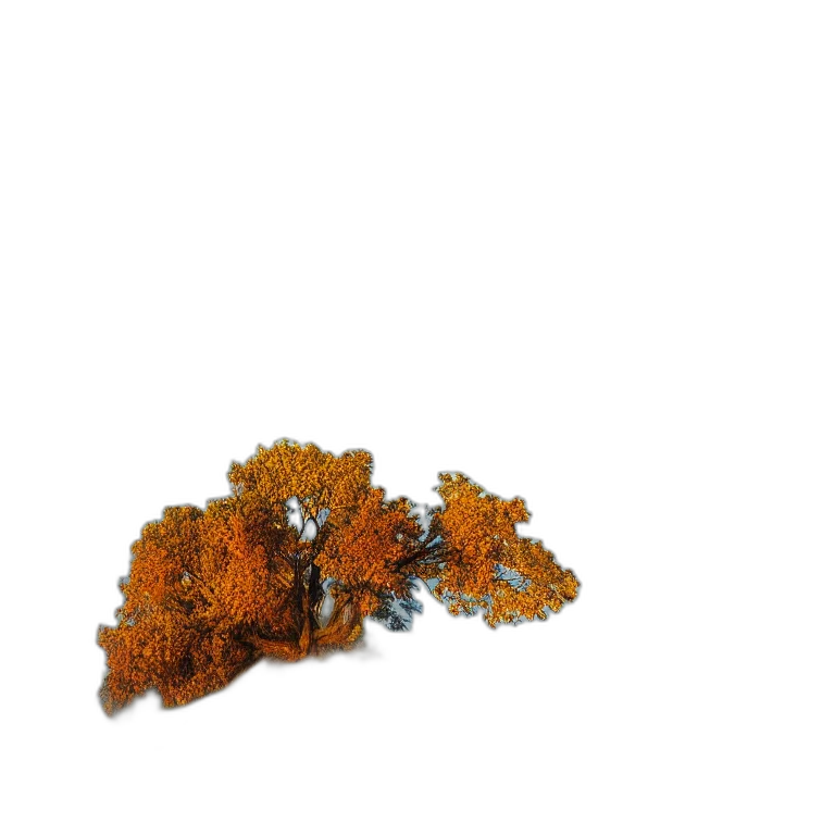 tree, crown, hair, jewelry, 3d render, pixel art, photorealistic, concept art transparent PNG cut-out