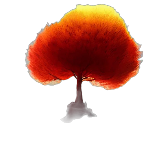 tree, crown, hair, hat transparent PNG cut-out