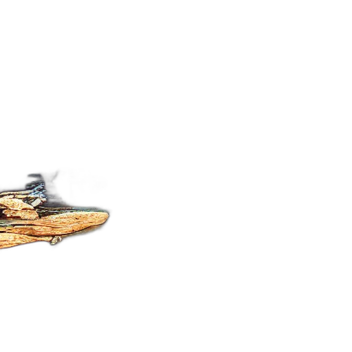 shoes, dragon, food, weapon transparent PNG cut-out