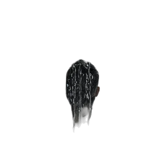 hair, jacket, face, crown, concept art, photorealistic, pixel art, 3d render transparent PNG cut-out