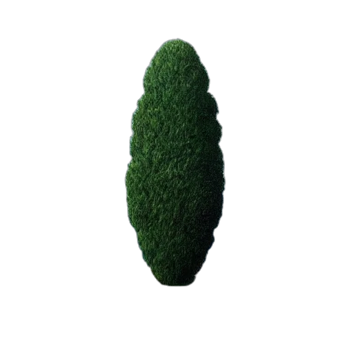 tree, hair, hat, creature, 3d render, photorealistic, pixel art, concept art transparent PNG cut-out