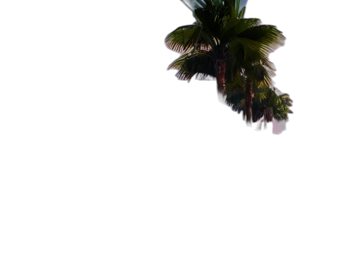 tree, umbrella, hat, flower, 3d render, photorealistic, vaporwave, concept art transparent PNG cut-out