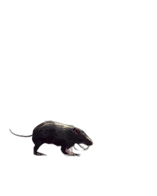 animal, creature, weapon, hat transparent PNG cut-out