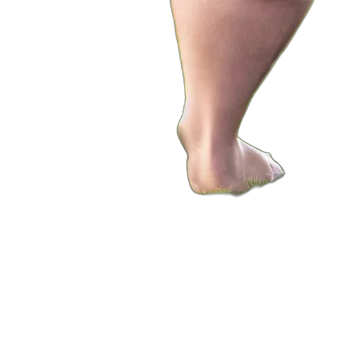 shoes, creature, dress, animal transparent PNG cut-out