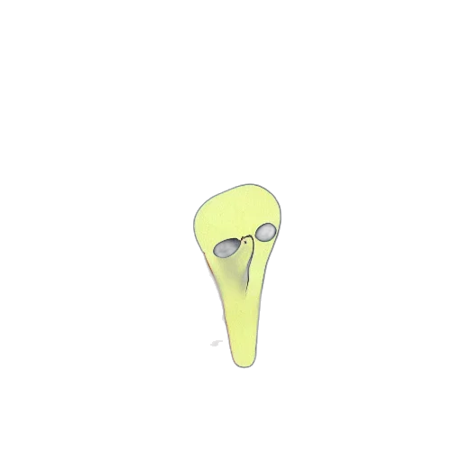 staff, face, mask, shoes transparent PNG cut-out
