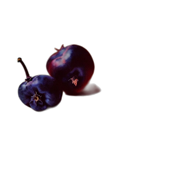 food, flower, crown, weapon, 3d render, photorealistic, pixel art, concept art transparent PNG cut-out