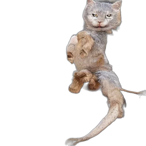 animal, creature, staff, hat transparent PNG cut-out