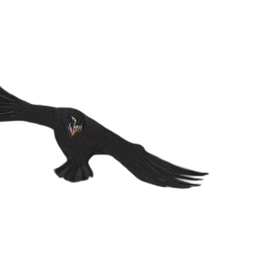 dragon, animal, staff, creature, concept art, 3d render, fantasy art, cartoon transparent PNG cut-out